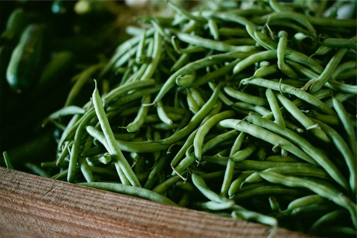 Lote 1000m² com vista panorâmica — São Jorge